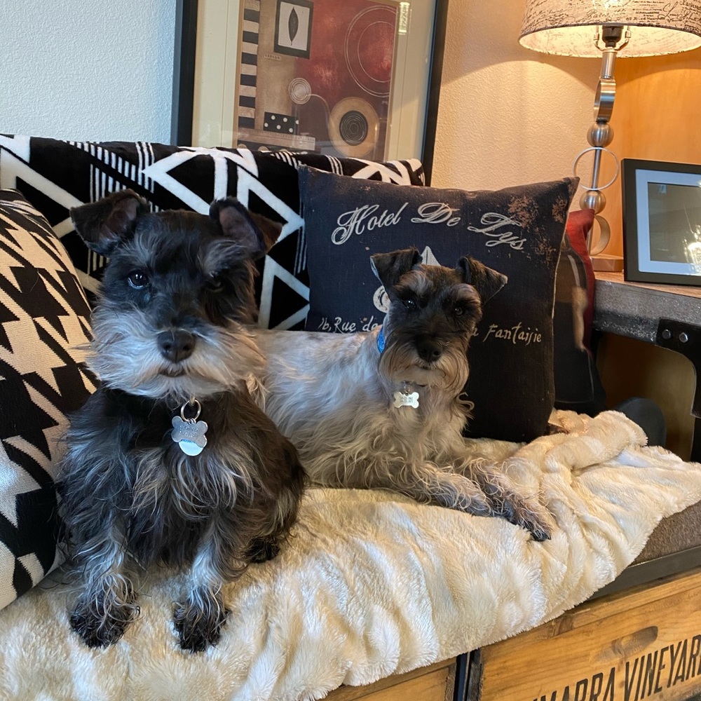 Meet your Posher, Shawna